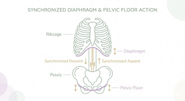 Why “Just Breathe” Actually Matters: The Secret to Pelvic Floor Healing